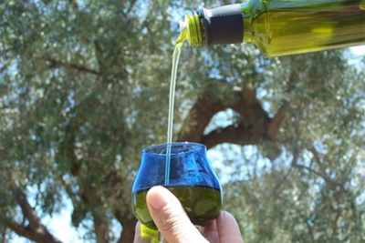 Visite Guidate Degustazione Olio